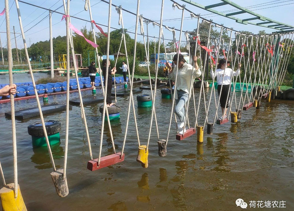 水上吊桩桥